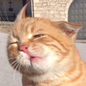 Meet your Posher, Jon